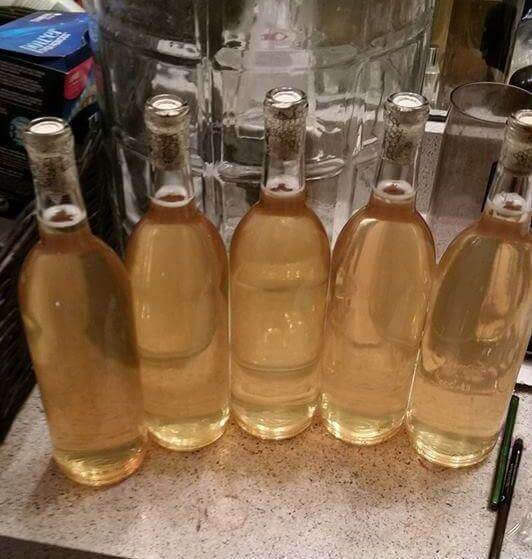 Why is My Mead So Cloudy? AleHorn