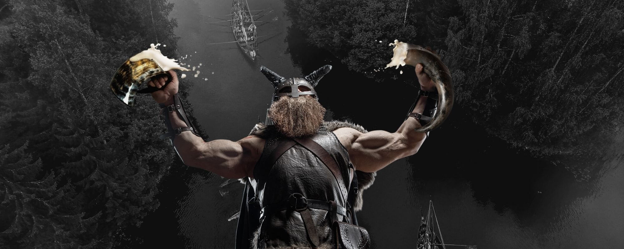 What Did The Vikings Really Drink? And Where To Get Yours – AleHorn