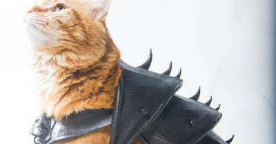 3D Printed Cat Armor is as Badass as it Sounds