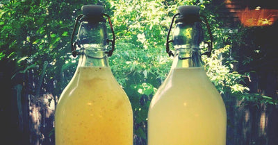 Absurdly Easy to Make Alcoholic Ginger Beer Recipe