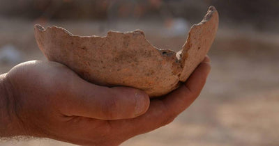 Beer Archaeologist Brings Long Lost Brews to Life