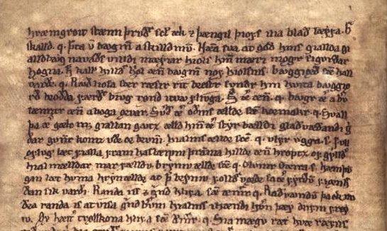 What Language Did the Vikings Speak? | AleHorn - Viking Drinking Horn Vessels and Accessories