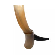 Polished Curved Viking Drinking Horn w/ Stand