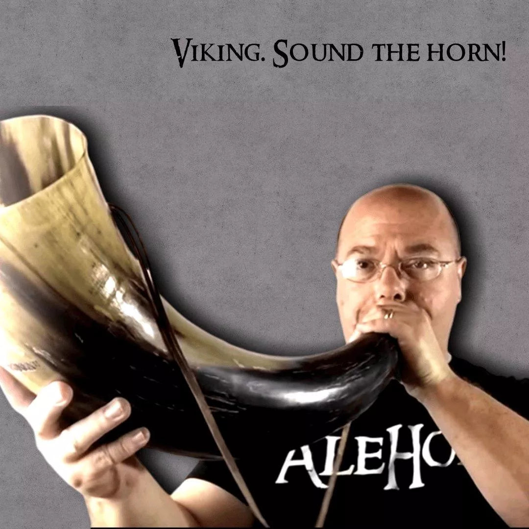 Viking horn instrument top